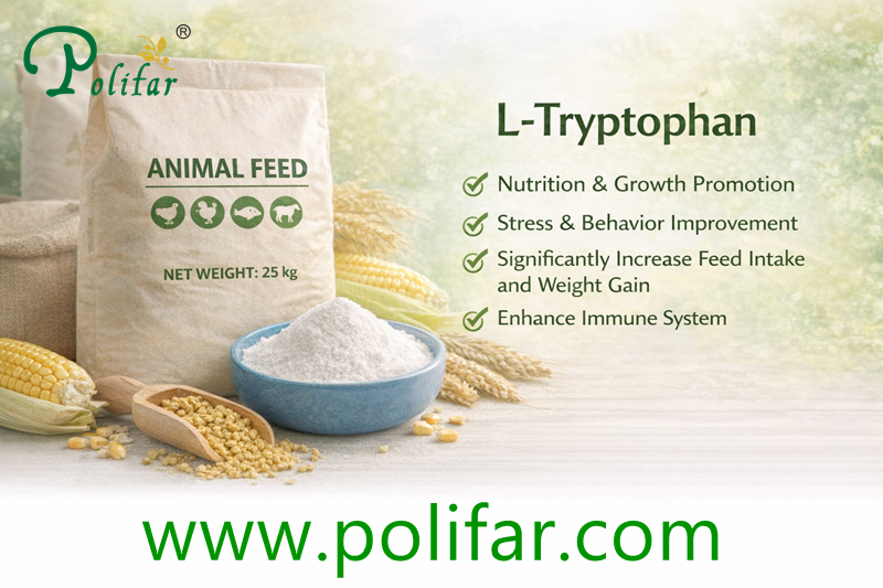 L-Tryptophan L-Triptofan