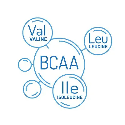 BCAA BCAA