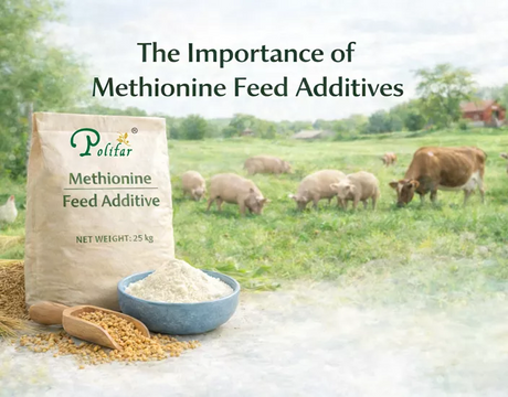 Feed Additives Methionine_703_550.png