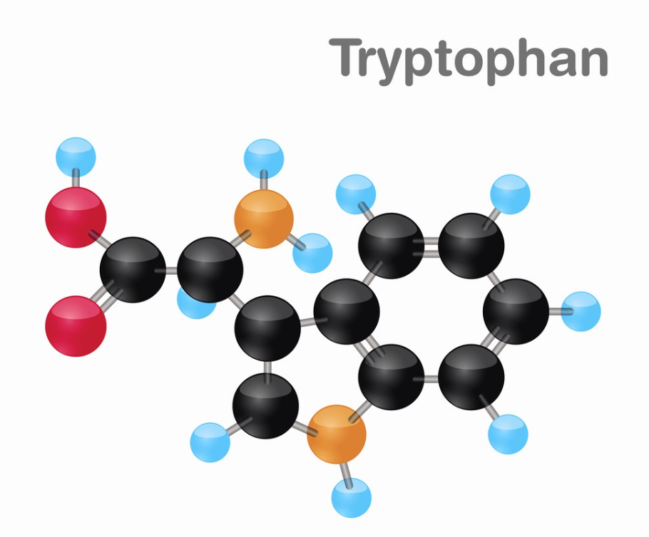 triptofan