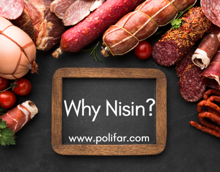 Nisin uygulamaları