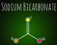//5jrorwxhomjorik.leadongcdn.com/cloud/lmBqnKmmSRklijpkrmkq/Sodium-Bicarbonate.jpg