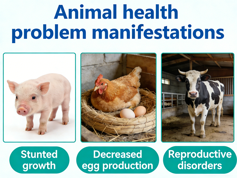 Kolekalsiferol eksikliği belirtileri