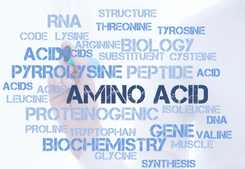 amino asit