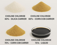 //5jrorwxhomjorik.leadongcdn.com/cloud/lrBqnKmmSRilnioijikq/feed-grade-choline-chloride.jpg
