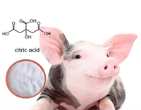 //5jrorwxhomjorik.leadongcdn.com/cloud/lrBqnKmmSRklljlqoikp/citric-acid-for-pigs.jpg