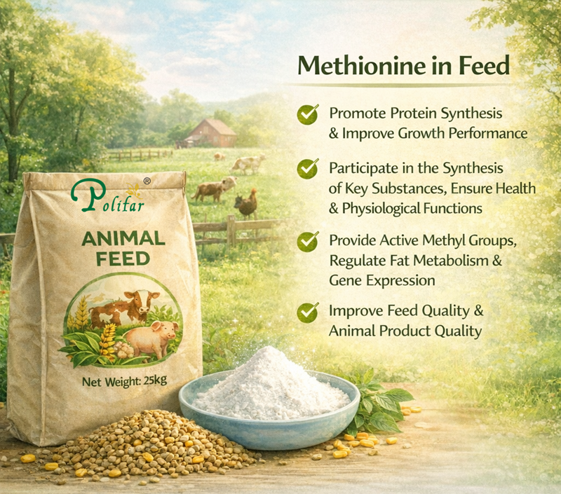 Metioninin etkinliği ve etkileri