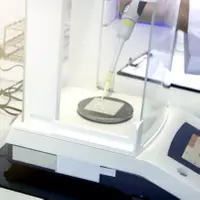 Saflık Testi