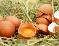//5jrorwxhomjorik.leadongcdn.com/cloud/piBqnKmmSRqloqrijikp/Feed-Additive-Choline-Chloride.webp