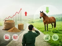 Soya Küspesi Fiyat Dalgalanmaları