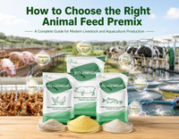 //5jrorwxhomjorik.leadongcdn.com/cloud/pmBqnKmmSRqlinmlmqkm/How-to-Choose-the-Right-Animal-Feed-Premix.jpg