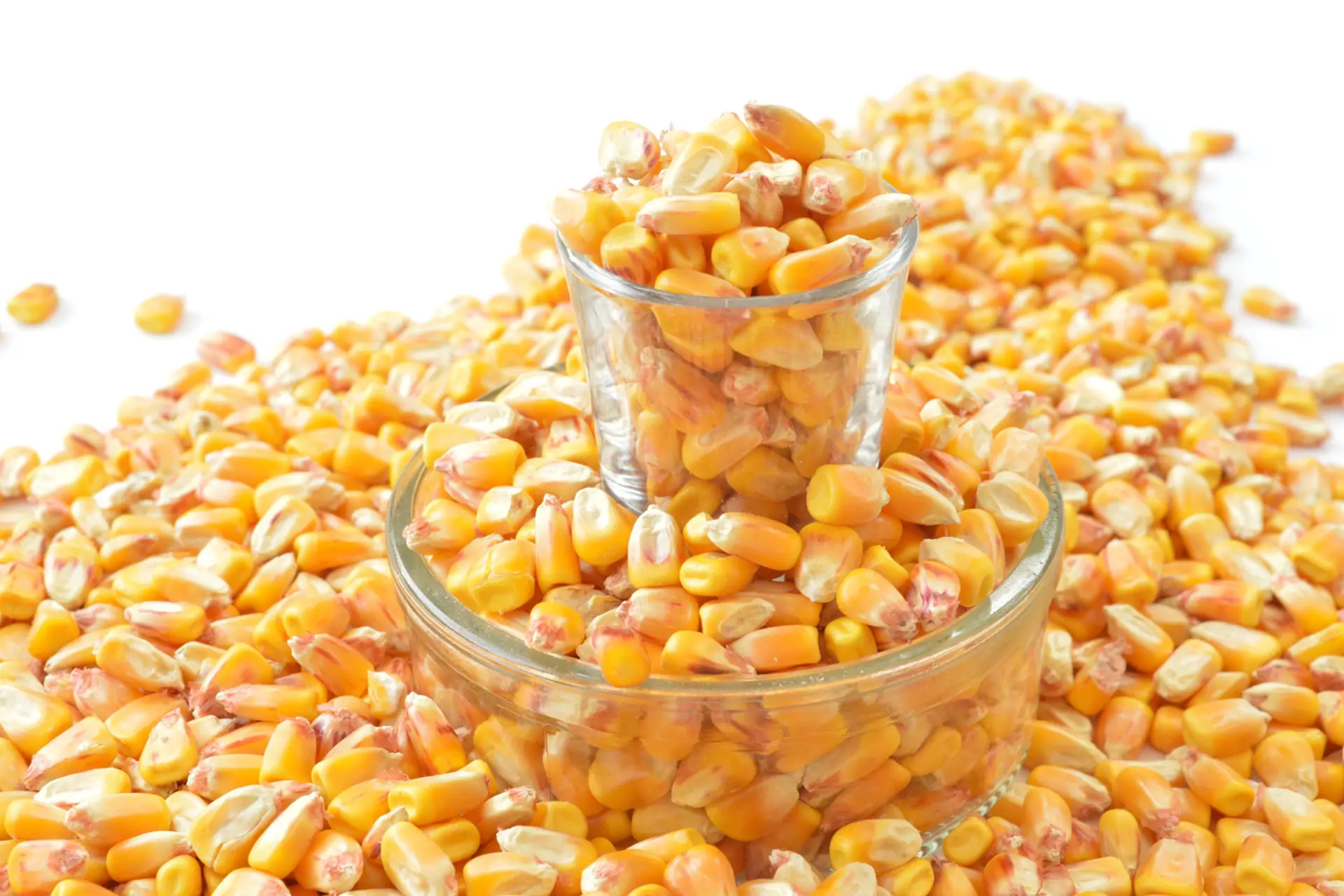Corn raw material