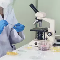 Bitmiş Ürün Denetimi
