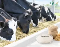 //5jrorwxhomjorik.leadongcdn.com/cloud/pqBqnKmmSRmllpjnnqkm/Application-of-Xylanase-in-Ruminant-Feed_703_550.webp